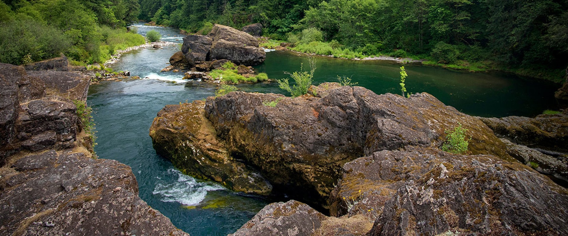 Exploring the Food Services Available in Marion County, Oregon