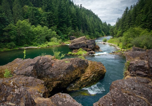 Exploring the Food Services Available in Marion County, Oregon